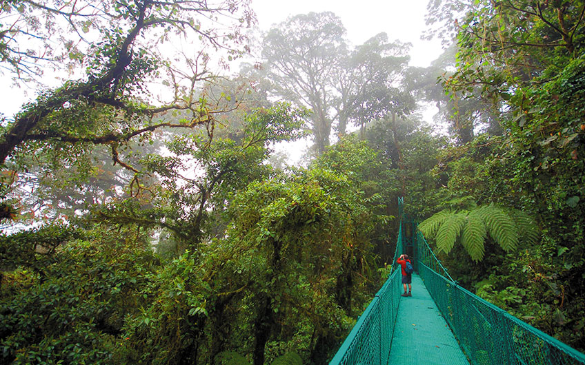 On the hanging bridges of Monteverde, a visitor with binoculars revels in the wonderful views offered by the cloud forest.