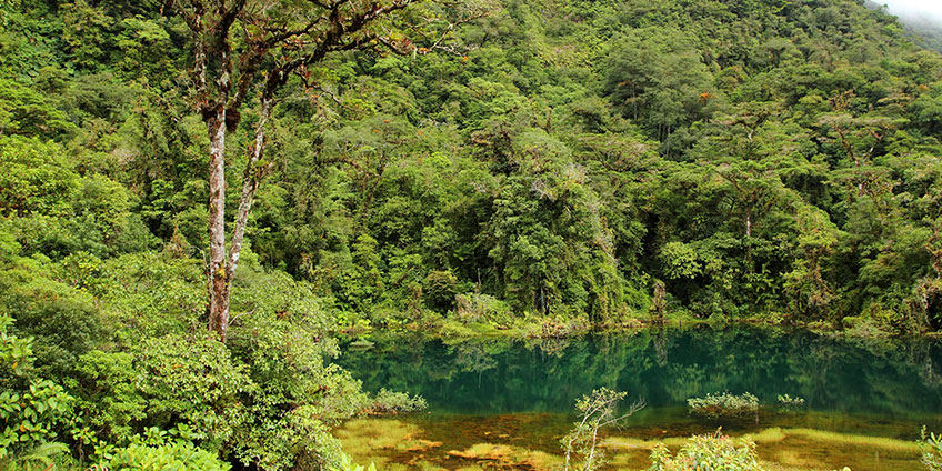 Juan Castro Blanco National Park