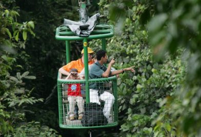 Naturalist tour