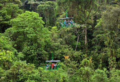 Aerial Tram tour