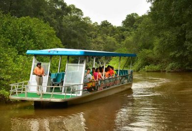 Boat Ride Through Jungle River