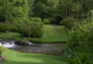 Bosque de Paz Hotel