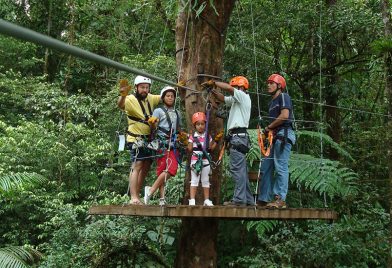 Canopy San Luis