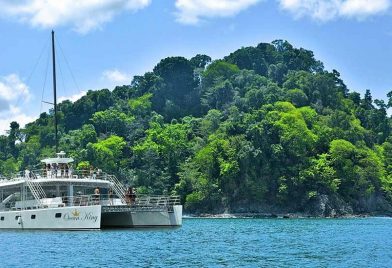 Catamarán Ocean King