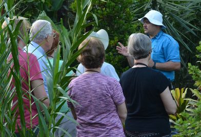 Costa Rica Local Flavor Tour