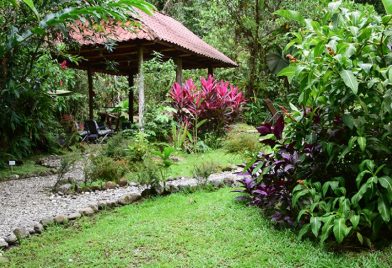 Esquinas Rainforest Lodge