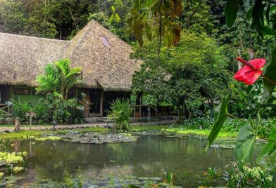 Esquinas Rainforest Lodge