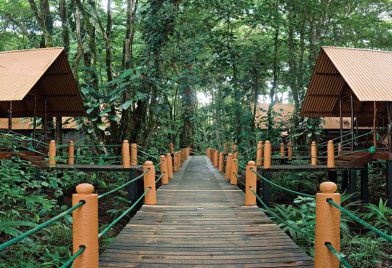 Bungalows surrounded by nature