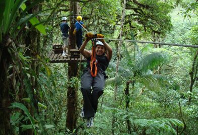 Forest canopy tour