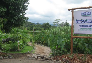 hacienda pozo azul