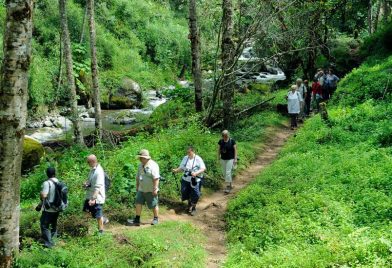 Hike and Horseback