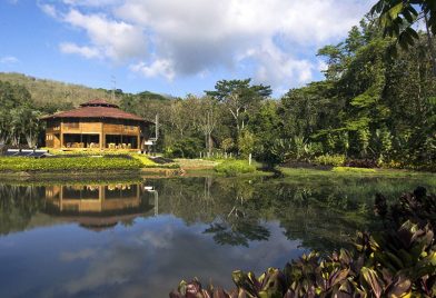 Macaw Lodge