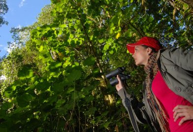 Walking Quetzal Tour