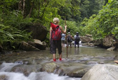 Selva Bananito Lodge