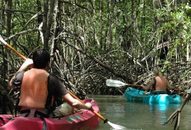 Damas Island Boat Tour