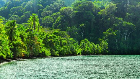 Corcovado National Park in Costa Rica