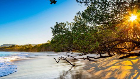 Guanacaste and Liberia Costa Rica