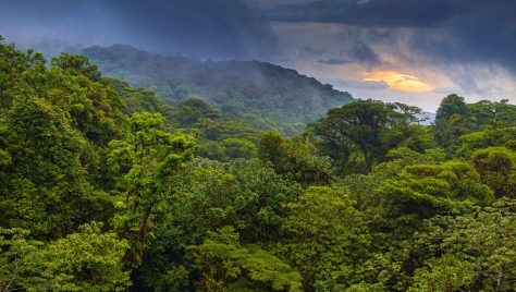 Monteverde Costa Rica