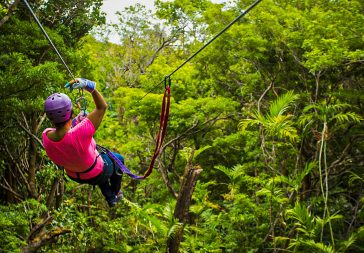 Costa Rica Canopy Tours