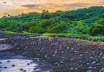 Guía de ecoturismo en Costa Rica