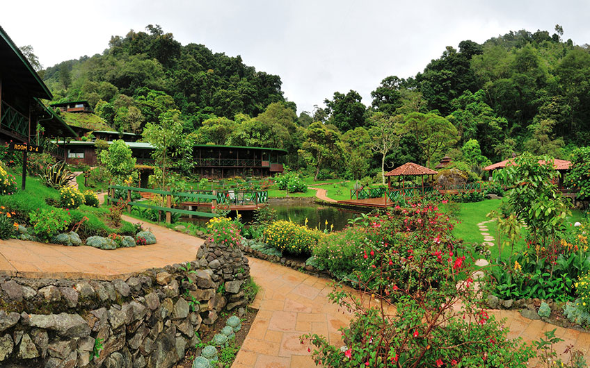 Trogon Lodge in San Gerardo de Dota Costa Rica