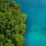 Costa Rica: A Bit of Everything Vacation Package