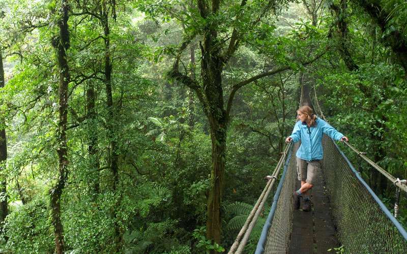 Walking selvatura park hanging bridges