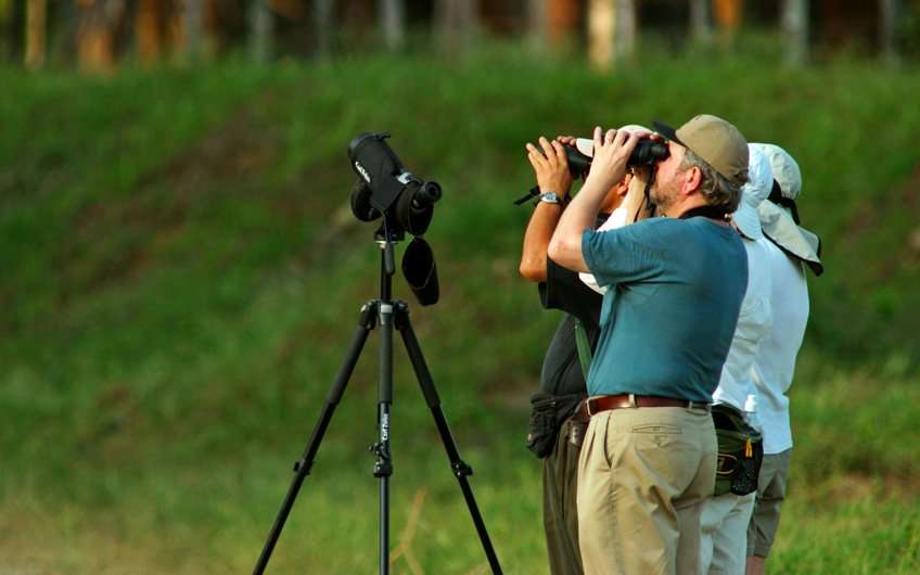 Birdwatchers from all around the world love the tours in Guanacaste Costa Rica as the area is rich in biodiversity and bird species.