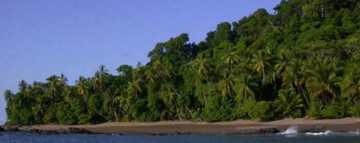 Corcovado National Park in Costa Rica