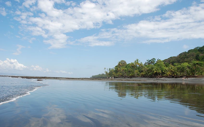 Puerto Jimenez Beaches Costa Rica