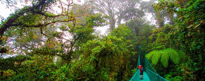 Monteverde Cloud Forest Costa Rica