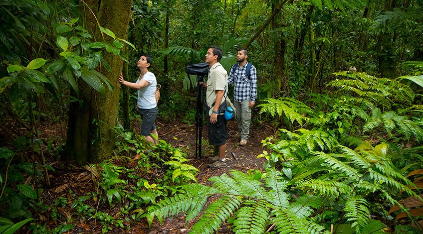 Costa Rica Tours: one-day activities to enjoy in Arenal: Hiking in Arena Volcano national park