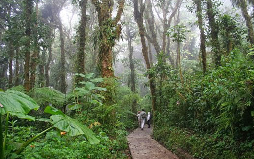 Santa Elena Reserve