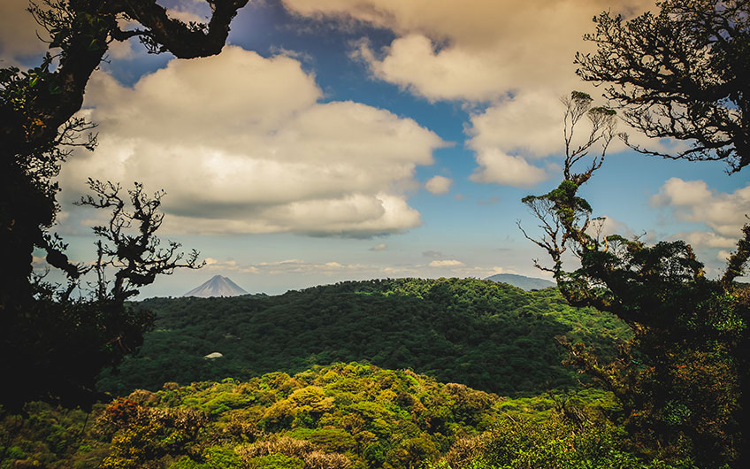 Monteverde Cloud Forest