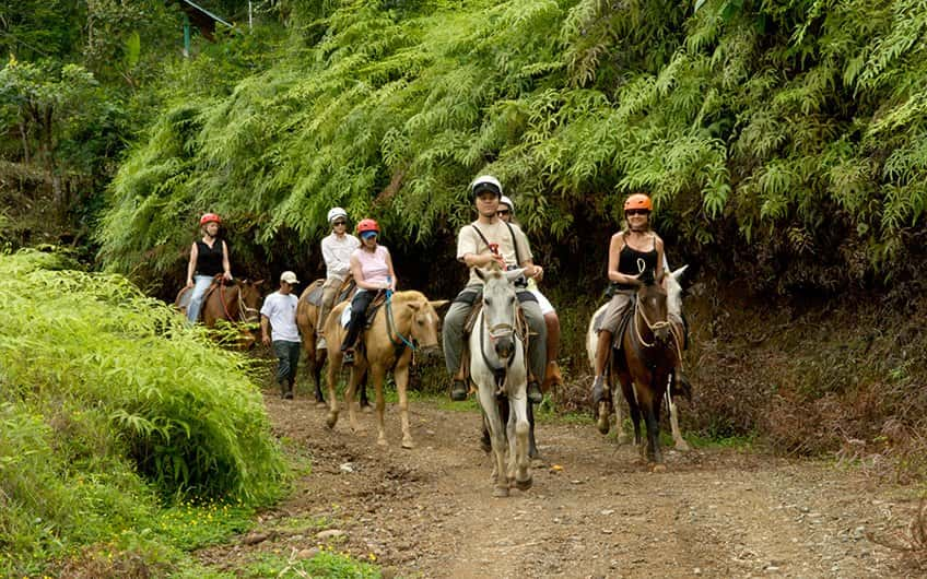 Horseback Ride