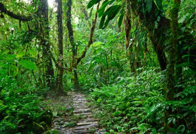 Medio dia en La Marta desde Turrialba