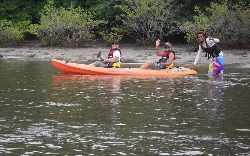 Mangrove