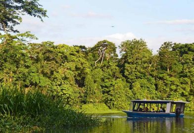 Tamarindo Mangrove & Estuary