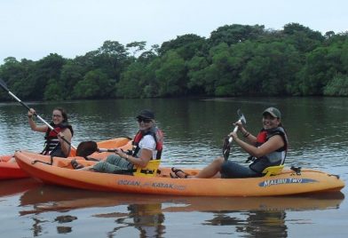 Tamarindo Mangrove & Estuary