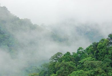 Reserva Biologica Santa Elena