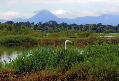 Caño Negro Wildlife Refuge