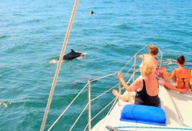 Aventura en Catamaran en Guanacaste