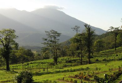 Celeste Mountain Lodge 