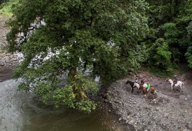 Horseback Riding In Sarapiqui