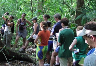 Hike In La Selva Biological